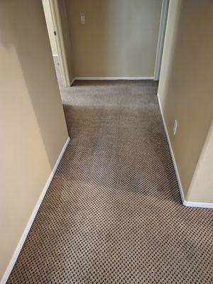 DyeMasters Carpet Dyeing