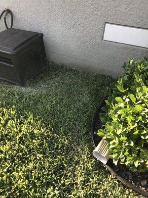 Yellowstone Landscape