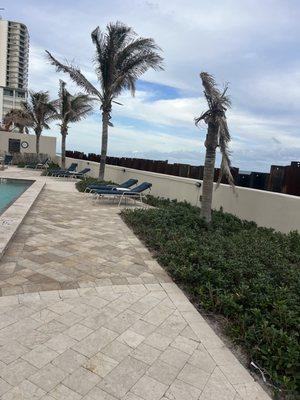 Marcos Landscaping and Gardening