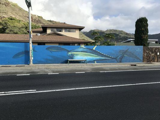 Call now free estimates 808 498-5992