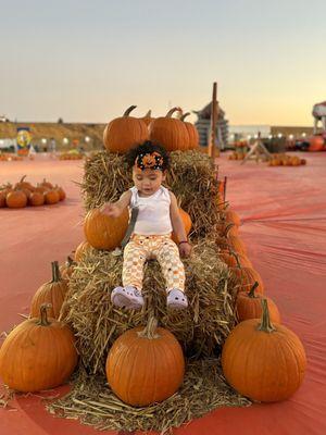 Golden State Family Farms