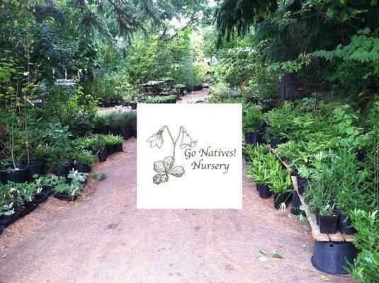 Go Natives Nursery