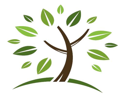 South Lyon Chiropractic