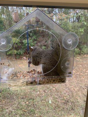 Had a visitor while getting a cleaning