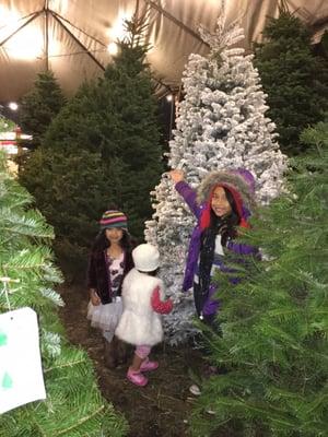 My 3 Princesses loves this place