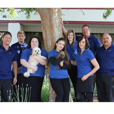 Millennium Termite & Pest