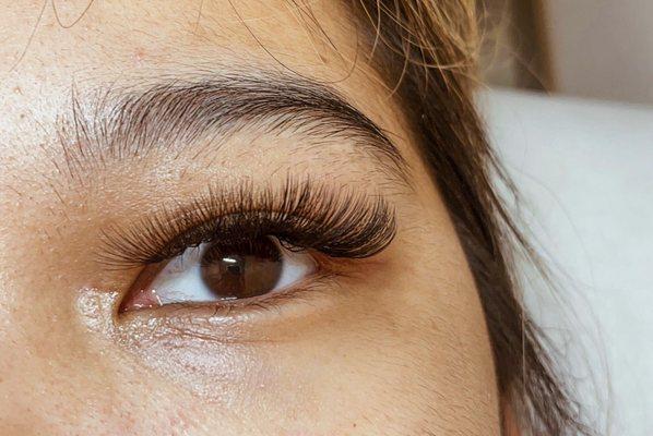 6D hybrid in the style sexy by Sophie