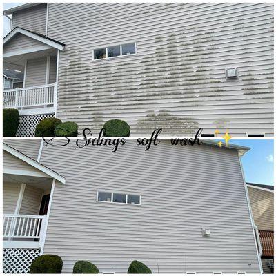 Exterior house wash (sidings cleaning)