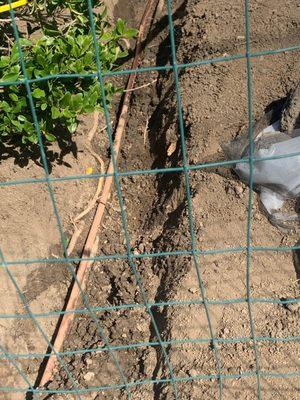 Steve Silva Plumbing