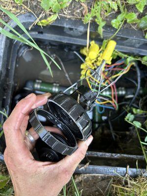 DG Irrigation & Landscape