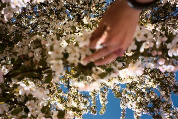 Elite Shot Photography