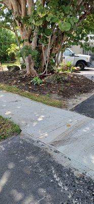 Landscape And Design Plus