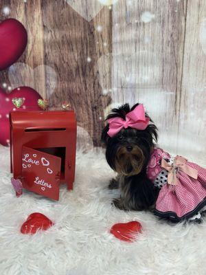 #Valentines pictures