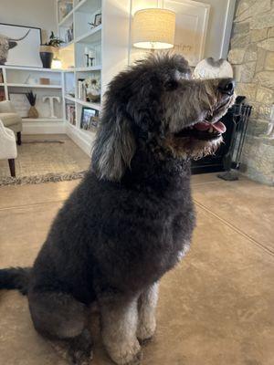 Wilco Farm Store - Redmond