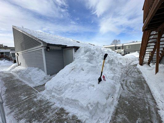 Great Northern Handyman & Renovations