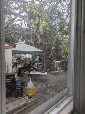 Israel Kushnir Realty