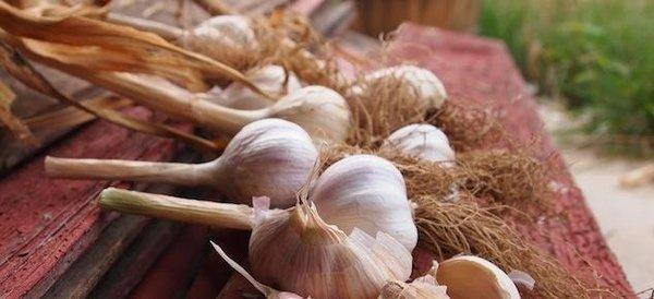 Singer Farm Naturals