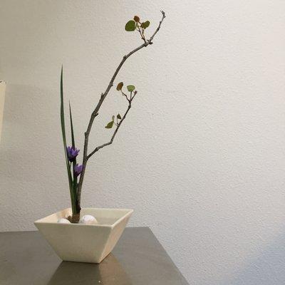 California Institute of Integral Studies