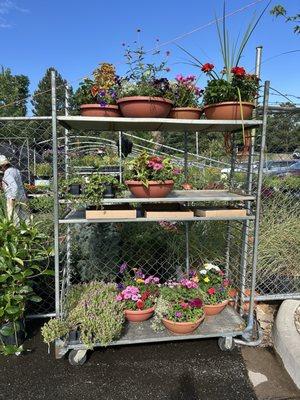 Giambrocco & Sons Garden Center - Boulder