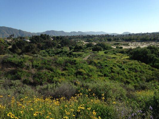 Mehravar Brown - Keller Williams Realty