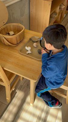 Genie Bambini Montessori Learning Center