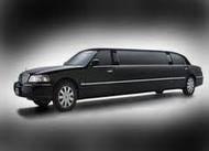 Tampa Limousine