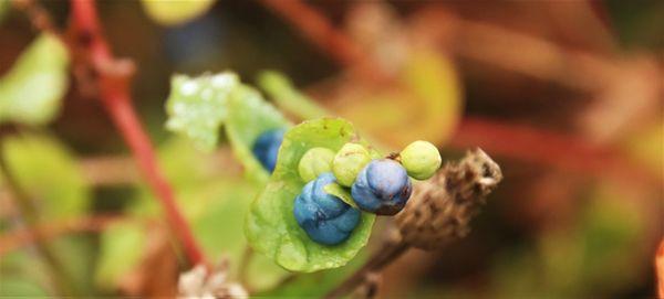 Cold Spring Harbor Map & Directions - MapQuest