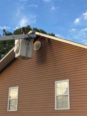 Kirkland’s Wildlife Trapping