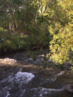 View from restaurant porch