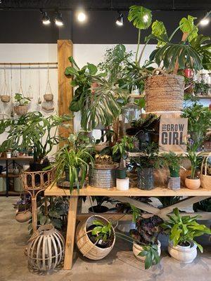 Botanica Floral + Home