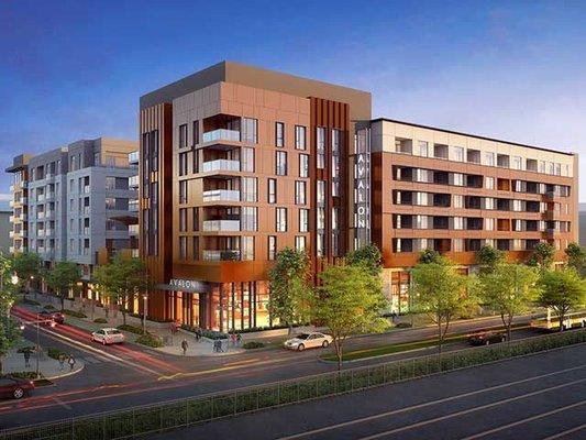 Avalon Public Market