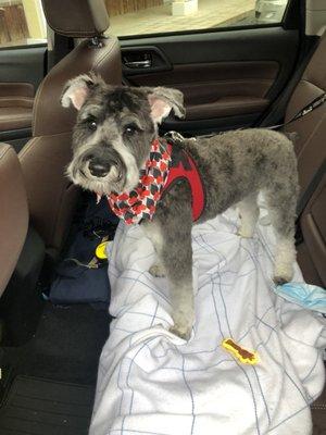 Jackie’s Grooming Spa & Hotel