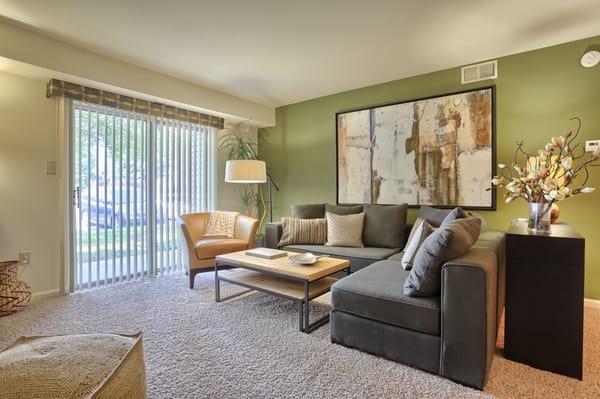 One Bedroom Living Room