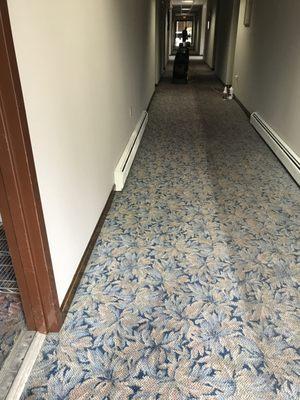 From Top to Bottom Carpet and Upholstery Cleaning