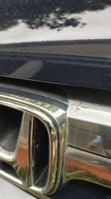 See the white paint droplets?