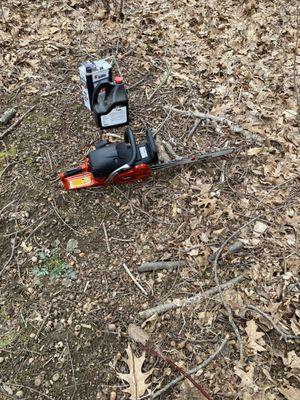 Wings tree Removal Service