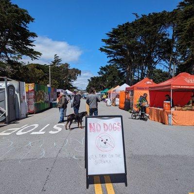 Perfectly sums up most dog owners in SF, imo.