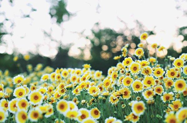 Amicus Arthritis & Osteoporosis Center