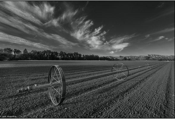 Photography by Jock Hamilton