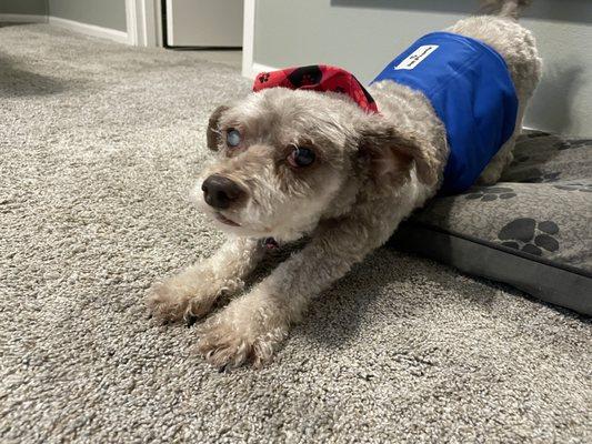 Farris Veterinary Clinic