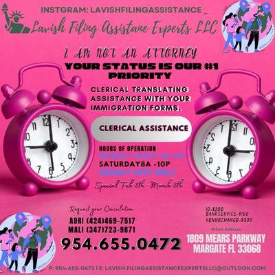 Lavish Filing Assistance Experts