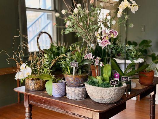 The Greenery Florist