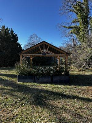 Buttercup + Friends Cafe