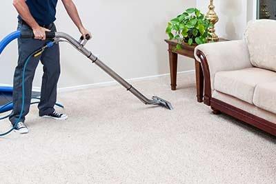 Busy Bee Cleaning and Organizing