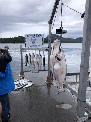 Alaska Fishing Company