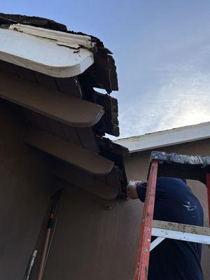 Achieve Pest Control