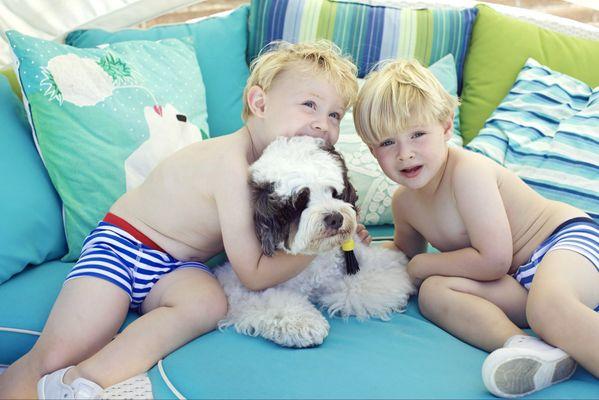 OUR THREE Boys, furry firstborn Poseidon and twins