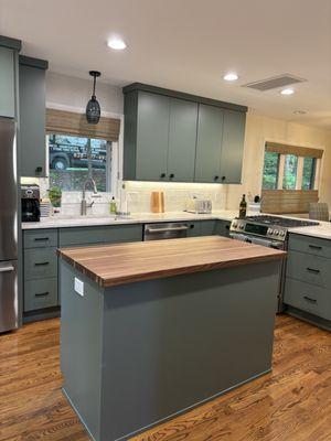 Fern green European style kitchen