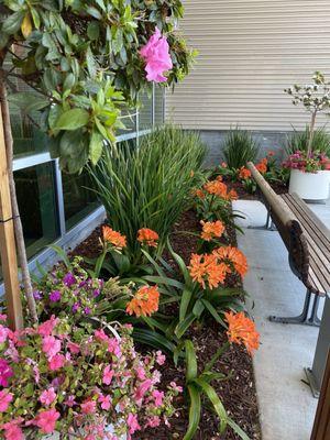 Montage Medical Group - Ryan Ranch