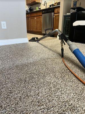 Roblee's Carpet And Tile Cleaning